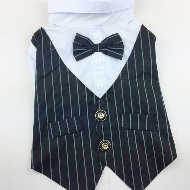 "Double-O Doggie" Dog Tuxedo
